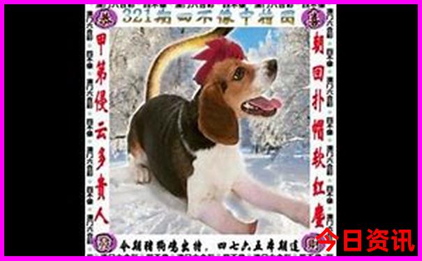 国内避暑胜地推荐